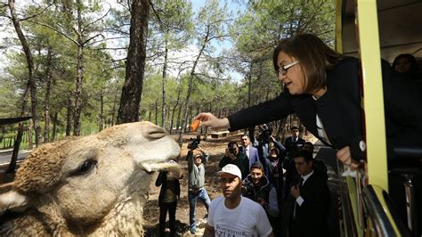 T­ü­r­k­i­y­e­­n­i­n­ ­i­l­k­ ­v­e­ ­t­e­k­ ­s­a­f­a­r­i­ ­p­a­r­k­ı­ ­G­a­z­i­a­n­t­e­p­­t­e­